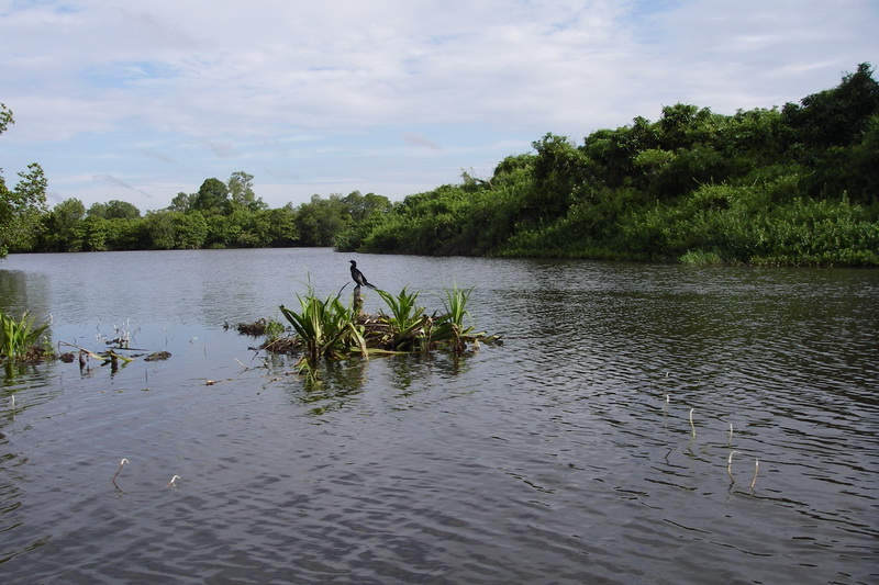 Sri Lanka, Colombo, River safari